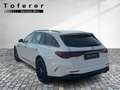 Mercedes-Benz E 53 AMG AMG E 53 HYBRID 4MATIC+ T-Modell Distr Weiß - thumbnail 3