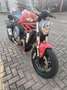 Ducati Monster 1200 standard Rosso - thumbnail 3