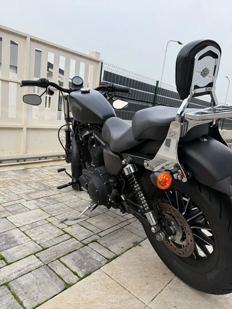 Harley-Davidson Sportster 883 - 1
