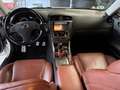 Lexus IS 220d Sport Blanc - thumbnail 7