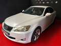 Lexus IS 220d Sport Blanc - thumbnail 2