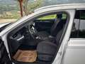 Skoda Octavia STYLE 4x4 LED MULTI APP KEYLESS VIRTUELL  KAMERA Weiß - thumbnail 12