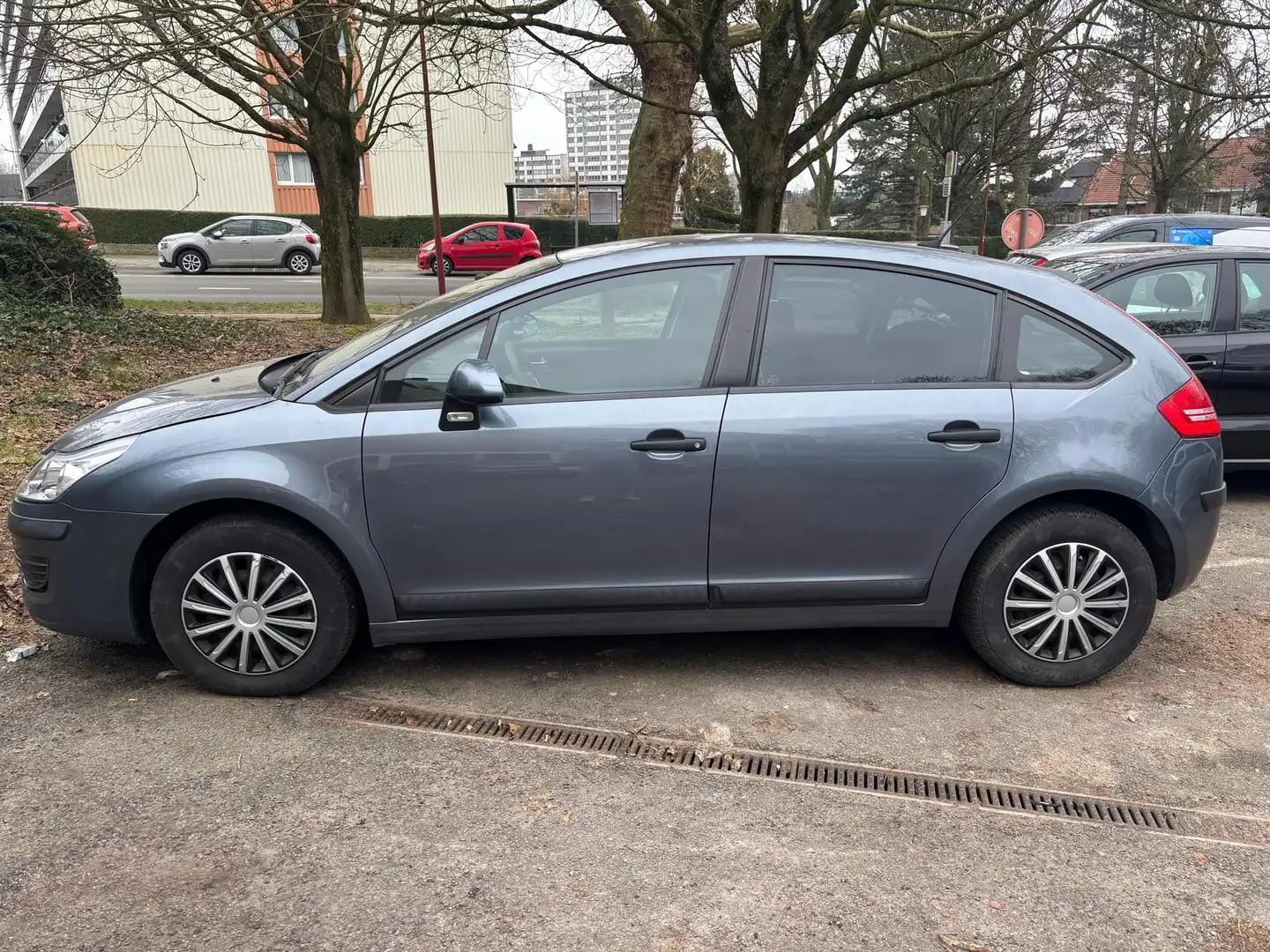 Citroen C4 Gris - 1