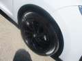 Renault Megane 1.6 16V 110CV E5 WAWE BERLINA*77000 KM*+600.00 GPL Weiß - thumbnail 4