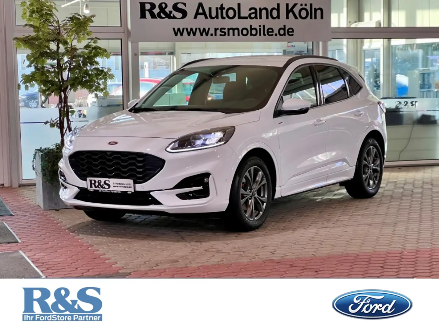 Ford Kuga ST-Line-X Ganzjahresreifen+B&O+KeyFree+LED-Scheinw Weiß - 1