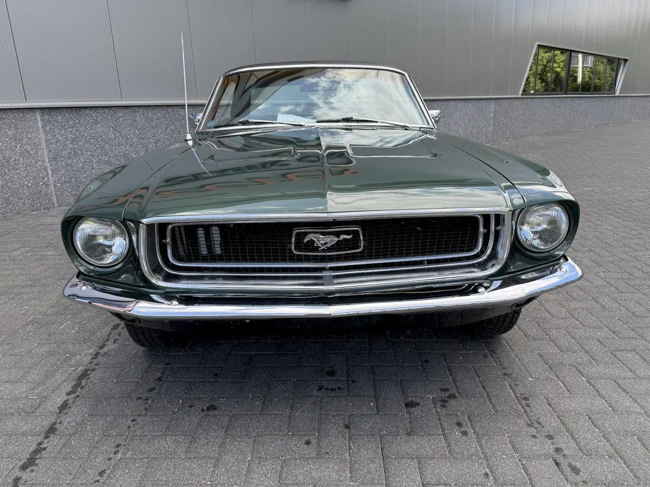 Ford Mustang Coupe S-Code 390, foto 6