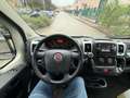 Fiat Ducato maxi 35 XLH3 3.0 CNG 136cv E6d-temp Wit - thumbnail 13