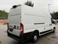 Fiat Ducato maxi 35 XLH3 3.0 CNG 136cv E6d-temp Wit - thumbnail 5