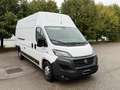 Fiat Ducato maxi 35 XLH3 3.0 CNG 136cv E6d-temp Wit - thumbnail 3
