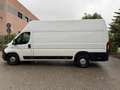 Fiat Ducato maxi 35 XLH3 3.0 CNG 136cv E6d-temp Wit - thumbnail 8