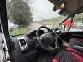 Fiat Ducato maxi 35 XLH3 3.0 CNG 136cv E6d-temp Wit - thumbnail 16