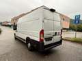 Fiat Ducato maxi 35 XLH3 3.0 CNG 136cv E6d-temp Wit - thumbnail 7