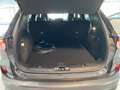 Ford Kuga 2.5  PHEV ST-LINE X/AHK/iACC/TWA/RFK Grau - thumbnail 5