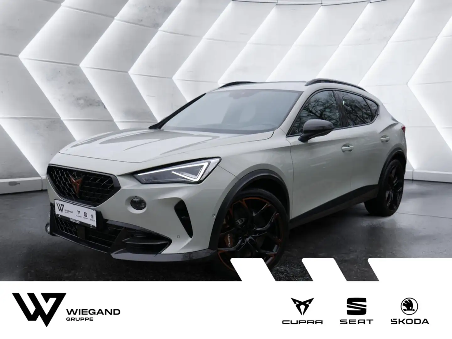 CUPRA Formentor 2.5 TSI VZ5 Taiga 4Drive ACC 360° Grau - 1