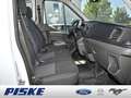 Ford Transit 350 L2 Trend Doka Pritsche Blanc - thumbnail 2