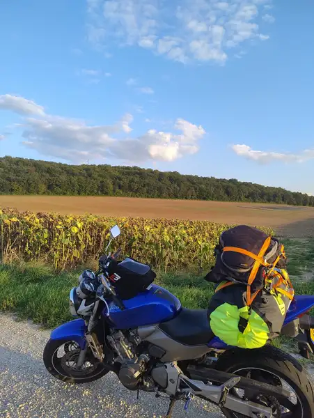 Honda Hornet - foto 2