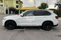 BMW X5 X5 xDrive25d Business Bianco - thumbnail 8
