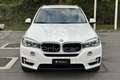 BMW X5 X5 xDrive25d Business Bianco - thumbnail 2