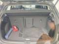 Volkswagen Golf Golf 1.5 TGI DSG 5p. Business BlueMotion Technolo - thumbnail 16