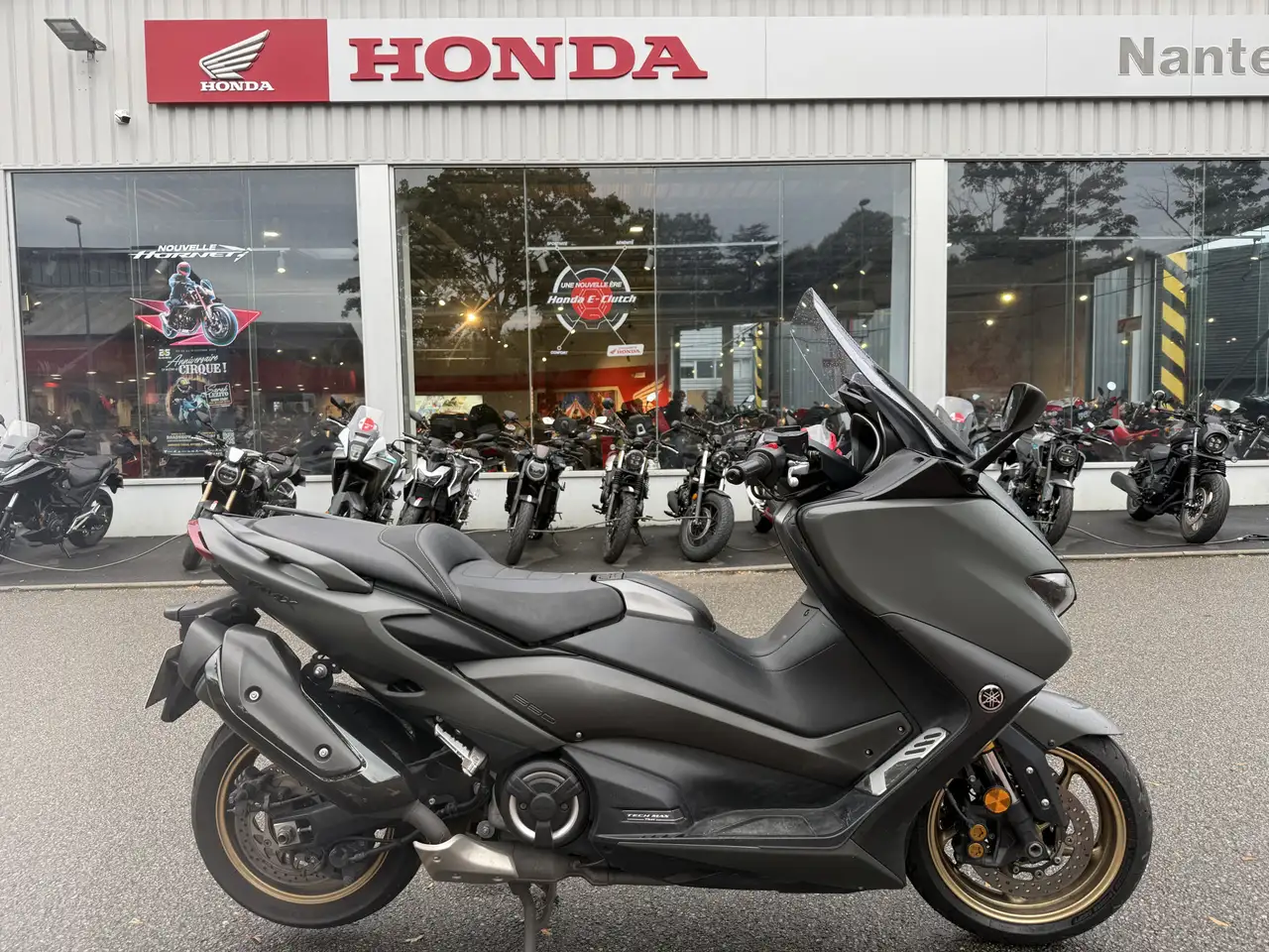 Yamaha