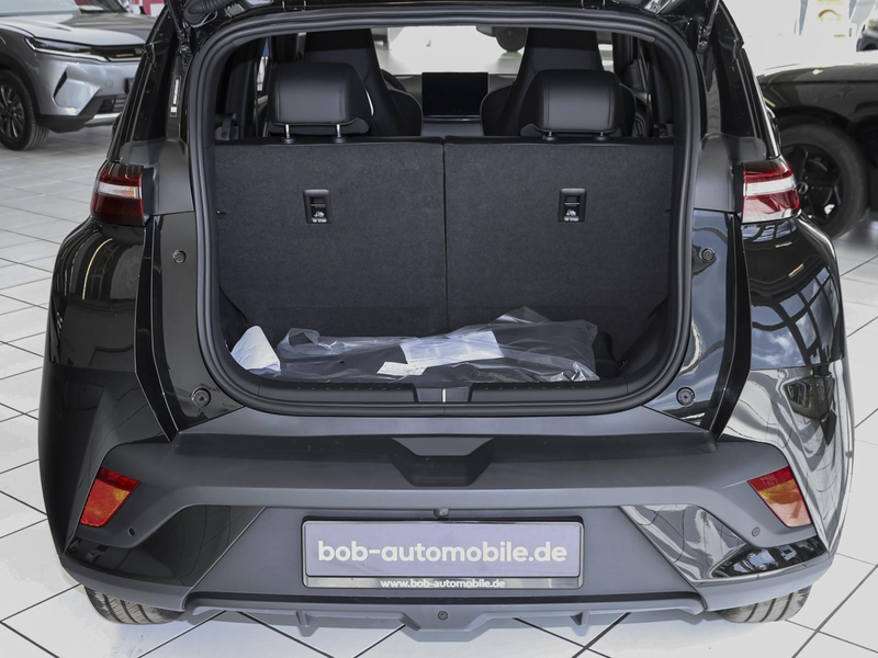 BYD Dolphin SURF Comfort LEDER NAVI SHZ PDC KLIMA ZV — photo 11