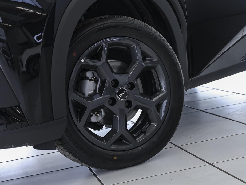 BYD Dolphin SURF Comfort LEDER NAVI SHZ PDC KLIMA ZV — photo 10