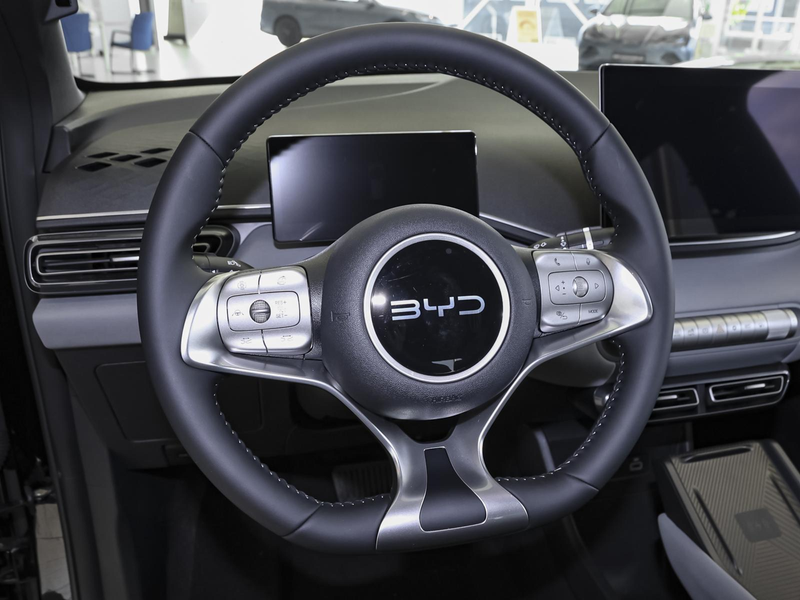BYD Dolphin SURF Comfort LEDER NAVI SHZ PDC KLIMA ZV — photo 12