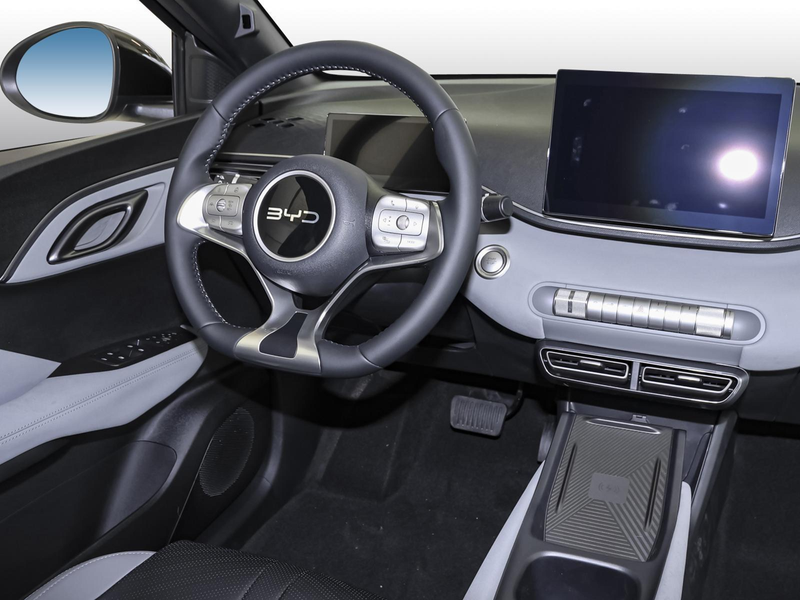 BYD Dolphin SURF Comfort LEDER NAVI SHZ PDC KLIMA ZV — photo 6