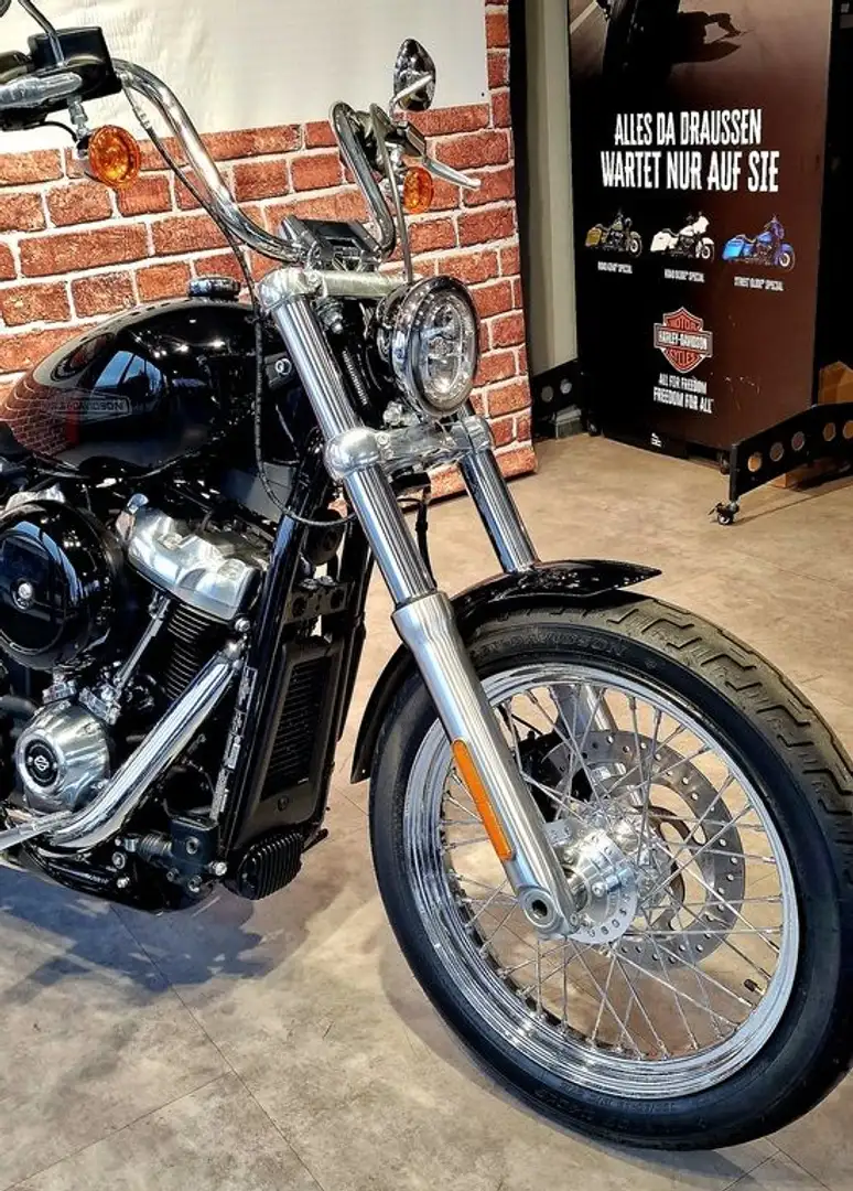 Harley-Davidson Softail Standard Negro - 2