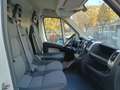 Fiat Ducato 2.3 Mjt FRIGO FRCX Euro6B ATP 12/2027 Blanc - thumbnail 9