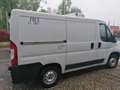 Fiat Ducato 2.3 Mjt FRIGO FRCX Euro6B ATP 12/2027 Blanc - thumbnail 10