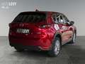 Mazda CX-5 2.5 Skyactiv-G Kangei +LED+Navi+360Kamera+ Rosso - thumbnail 6