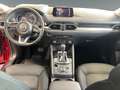 Mazda CX-5 2.5 Skyactiv-G Kangei +LED+Navi+360Kamera+ Rosso - thumbnail 10