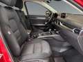 Mazda CX-5 2.5 Skyactiv-G Kangei +LED+Navi+360Kamera+ Rosso - thumbnail 15