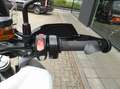 Triumph Tiger 1200 GT Pro Tiger 1200 GT PRO Bianco - thumbnail 13