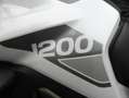 Triumph Tiger 1200 GT Pro Tiger 1200 GT PRO Bianco - thumbnail 11