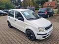 Fiat Panda Panda 1.2 Classic Weiß - thumbnail 18