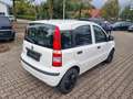 Fiat Panda Panda 1.2 Classic Weiß - thumbnail 11