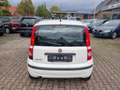 Fiat Panda Panda 1.2 Classic Weiß - thumbnail 10
