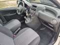 Fiat Panda Panda 1.2 Classic Weiß - thumbnail 15