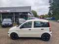 Fiat Panda Panda 1.2 Classic Weiß - thumbnail 2