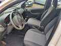Fiat Panda Panda 1.2 Classic Weiß - thumbnail 3