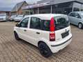 Fiat Panda Panda 1.2 Classic Weiß - thumbnail 9