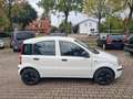 Fiat Panda Panda 1.2 Classic Weiß - thumbnail 17