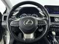 Lexus RX 450h - 4WD President Line // 1E EIGENAAR // DEALERONDER Gris - thumbnail 16