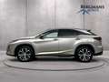 Lexus RX 450h - 4WD President Line // 1E EIGENAAR // DEALERONDER Grigio - thumbnail 14