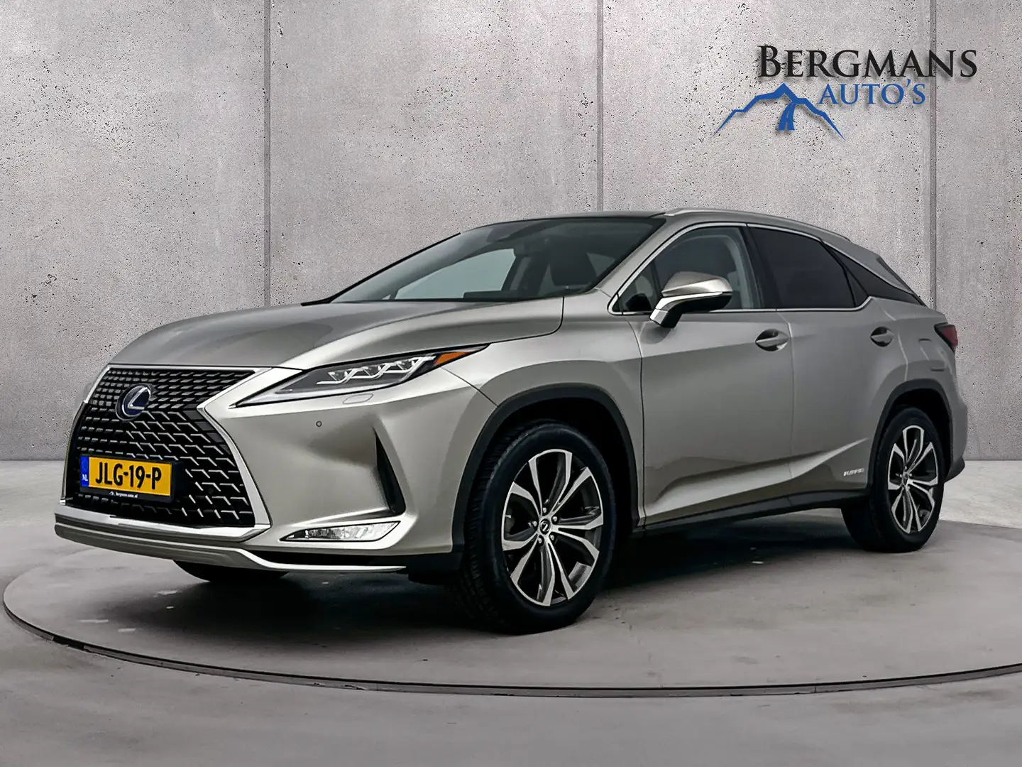 Lexus RX 450h - 4WD President Line // 1E EIGENAAR // DEALERONDER Grijs - 1