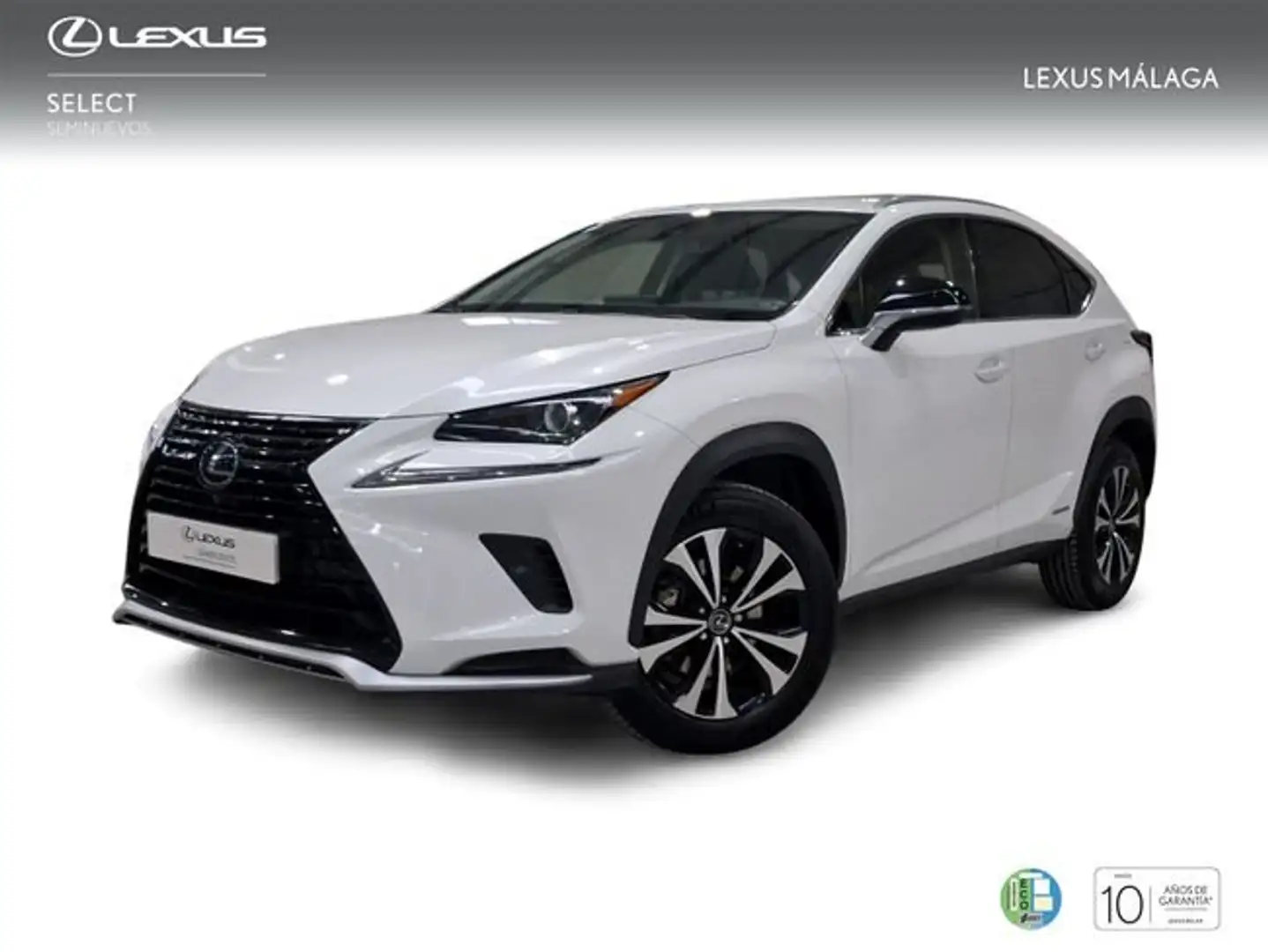 Lexus NX 300 300h Premium 2WD Blanc - 1