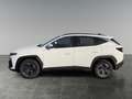 Hyundai TUCSON NX4 Jubile 1,6 T-GDi HEV 4WD AT t6hj2 Weiß - thumbnail 2