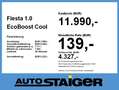 Ford Fiesta 1.0 EcoBoost Cool & Connect Automatik, PDC Gris - thumbnail 4